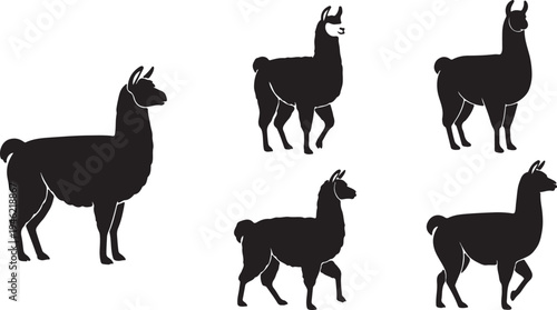 Alpaca Silhouette Set South American Camelid Farm Animal Vector Illustration