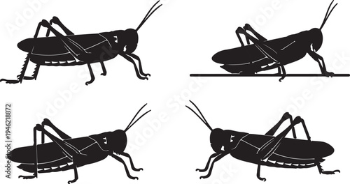 Grasshopper Silhouette Set Insect Collection Vector Illustration