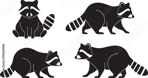 Raccoon Silhouette Set Wild Mammal Forest Animal Vector Illustration