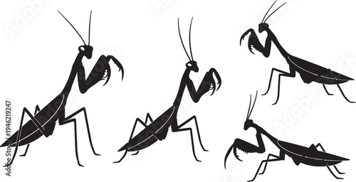 Praying Mantis Silhouette Set Insect Predator Vector Illustration