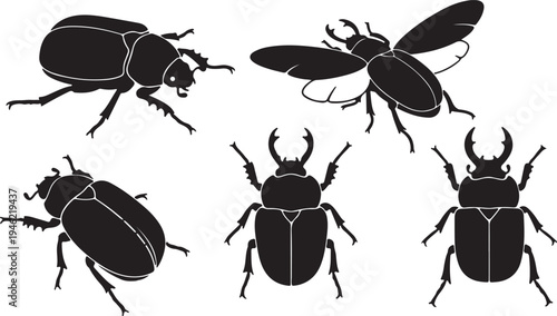Beetle Silhouette Set Insect Collection Vector Illustration