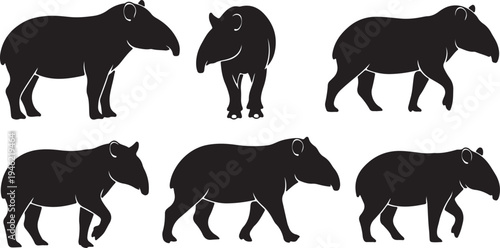 Tapir Silhouette Set Exotic Wild Mammal Vector Illustration