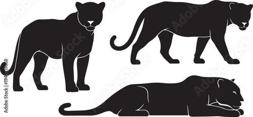 Panther Silhouette Set Wild Big Cat Predator Vector Illustration