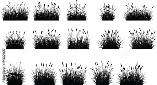 Grass and Wild Plants Silhouette Collection Meadow Vegetation Bush and Reed Shapes Nature Landscape Design Elements Set