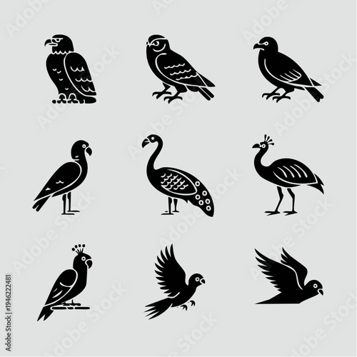 Collection of various bird silhouettes standing and flying.