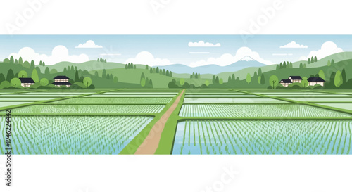Panoramic View of Lush Green Japanese Rice Fields and Rural Landscape