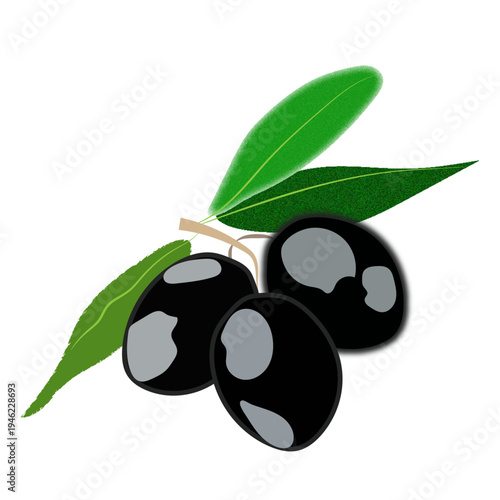 Black Olives with Leaves Illustration