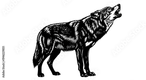 Dire Wolf silhouette vector illustration isolated on white background for zoo, halloween poster, flyer, book cover illustration design