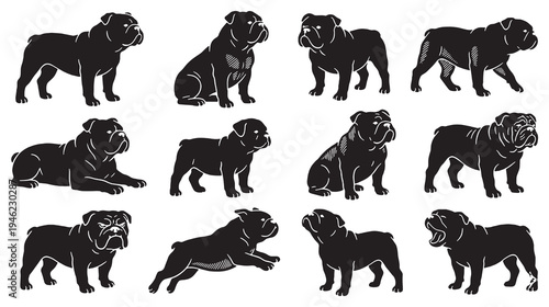 Collection of Silhouette Illustrations of English Bulldogs in Various Poses.