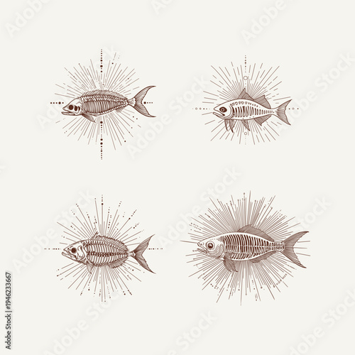 Set of vintage fish skeleton illustrations with celestial sunburst rays, hand-drawn mystical oceanic bone art isolated on light background.