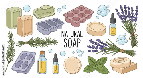 Collection of natural soap products, herbs, and essential oils on a white background.