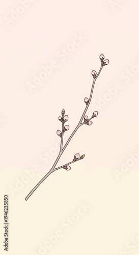 Minimalist Illustration of a Delicate Spring Willow Branch