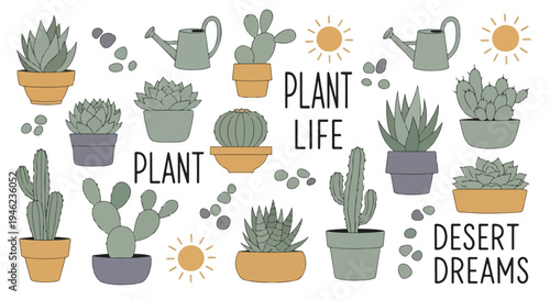 A collection of various potted cacti and succulents with gardening elements on a white background.