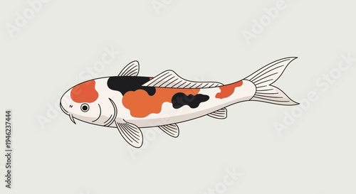 Hand Drawn Illustration of a Colorful Koi Fish
