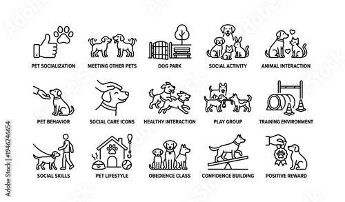 Dog training and socialization activities for canine development