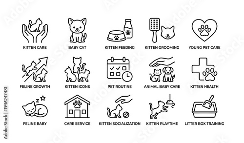 Kitten care icons: feeding, grooming, health, socialization, playtime