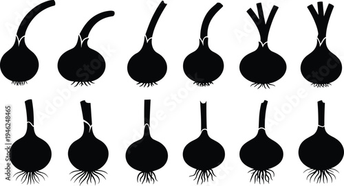 onion silhouette set, garlic bulb vegetable collection, black root vegetable shapes, kitchen ingredient icons, isolated food vector illustration bundle