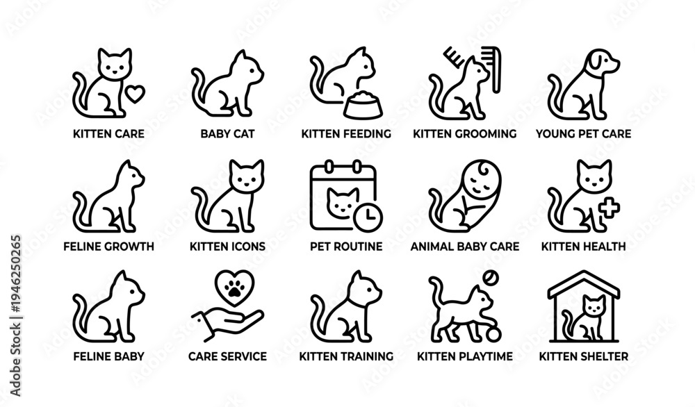 Fototapeta premium Kitten icons set: care, feeding, grooming, play, health, shelter, training, young pet