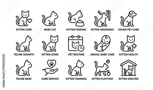 Kitten icons set: care, feeding, grooming, play, health, shelter, training, young pet
