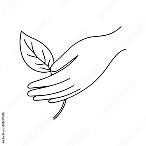 Hand holding large leaf