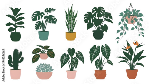 Modern Indoor Plants Elements Set, Colored Silhouette Vector on White Background, Home Decor Illustration
