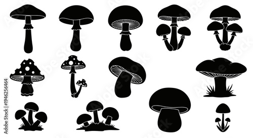 Nature Botany Mushroom Silhouettes Set - Black and White Fungi Glyphs Vector Collection