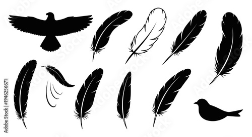 Wildlife Nature Avian Vector Silhouette Birds and Feathers Set