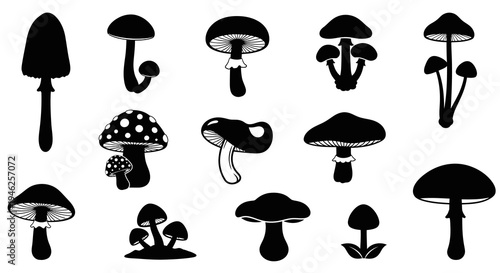 Black  White Nature and Fantasy Mushrooms Silhouettes Vector Set - Fungi Glyphs