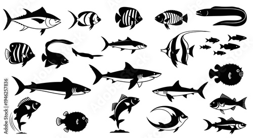 Marine Life Fish Species Black and White Glyph Icons Set