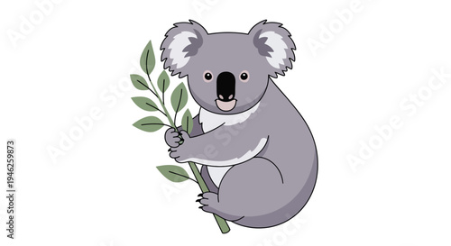 Cute cartoon koala bear holding eucalyptus leaves.