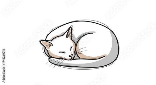 Cute White Cat Sleeping Peacefully Curled Up in a Ball.