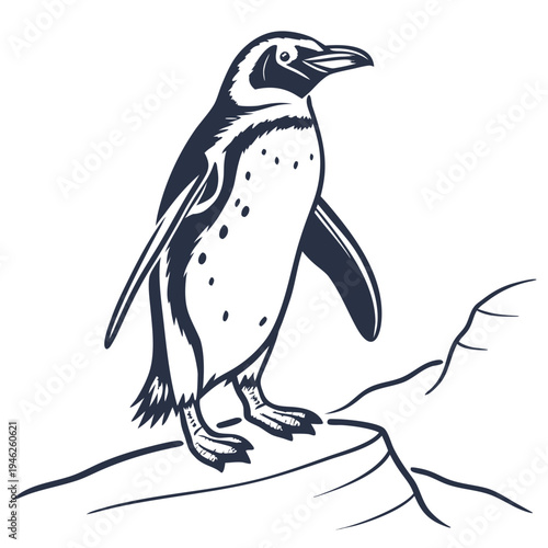 Antarctic penguin on rock line art illustration - wildlife animal vector graphic