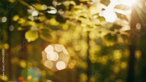 Wallpaper Mural Sunlight filtering through lush green leaves in a forest with bokeh effects and a golden light Torontodigital.ca
