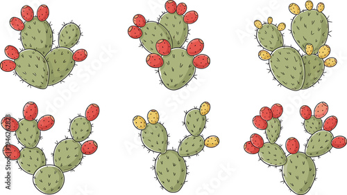 Prickly pear cactus plants collection with red and yellow fruits, hand drawn desert succulent botanical illustration set