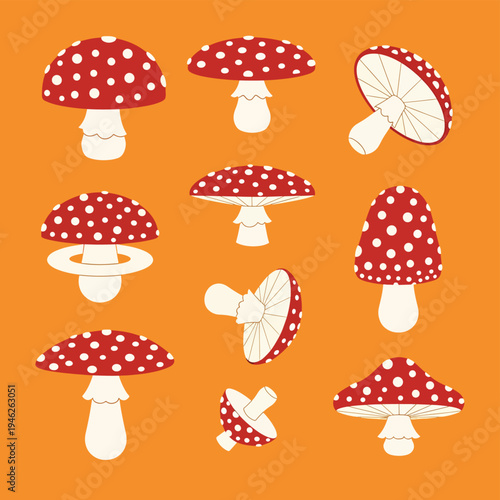 Collection of Fly Agaric Mushrooms