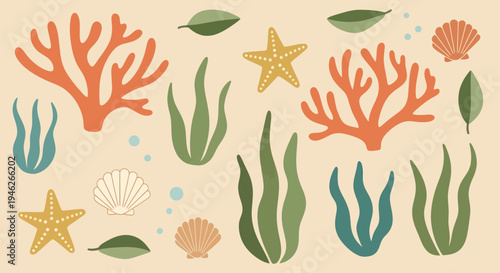 Vibrant underwater coral, seaweed, starfish, and seashell collection.