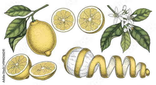 Vibrant Lemon Collection with Leaves and Blossoms.