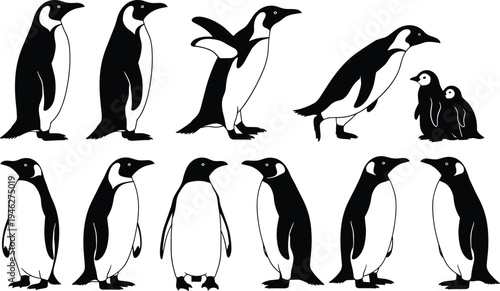 Minimalist black and white penguin line art illustrations featuring diverse poses, chicks and adults, perfect for wildlife, nature, education, and stock design projects
