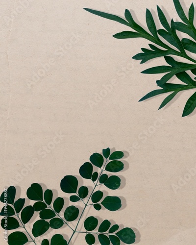 Фотография Top-down view of vibrant green tropical and pinnate leaves framing a textured beige paper background with soft shadows