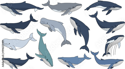 Whale Marine Animal Character Set with Different Swimming Poses, Ocean Wildlife Mammals and Underwater Elements Cartoon Vector Illustration Collection for Nature Designs.