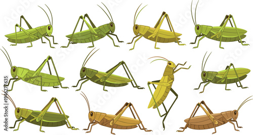 Grasshopper Insect Character Set with Jumping and Crawling Poses, Green and Brown Variations Cartoon Bug Vector Illustration Collection for Nature and Biology Designs.