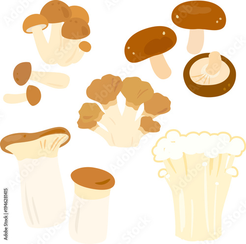食用キノコのイラストセット