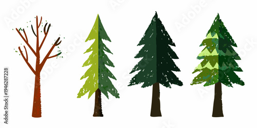 Four stylized evergreen and deciduous trees in varying stages of growth
