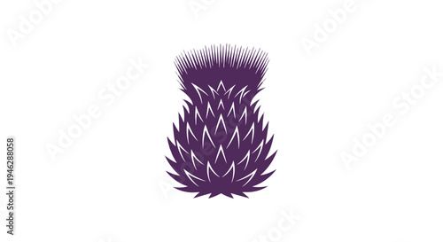 Purple Thistle Flower Head Closeup.