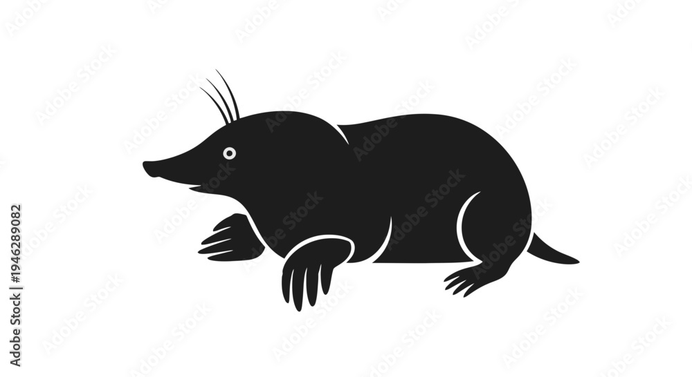 Fototapeta premium Black Silhouette of a Mole Animal.