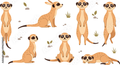 Cute Meerkat Character Set with Standing, Sitting and Resting Poses Featuring Desert Habitat Elements Cartoon Wildlife Vector Illustration Collection for Kids Designs.