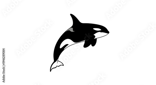 Black and White Silhouette of Orca.