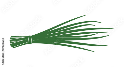 Fresh Green Chives Bunch Herb.