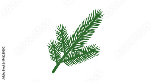 Green Palm Fronds Isolated on White.