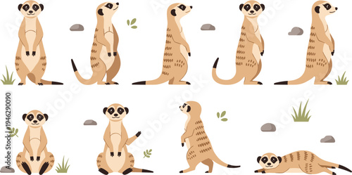 Cute Meerkat Character Set Standing, Sitting and Watching in Desert Habitat with Rocks and Plants Cartoon Wildlife Vector Illustration Collection for Kids Designs.